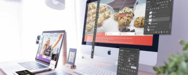 Le portefolio de notre agence web